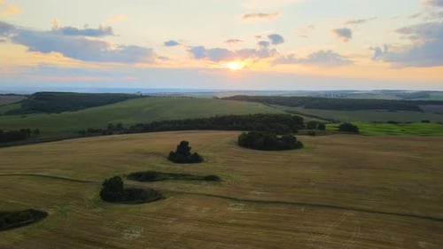 Aerial Landscape View of Yellow Cultivated Agricultural Field with Ripe Wheat on Bright Summer Day
