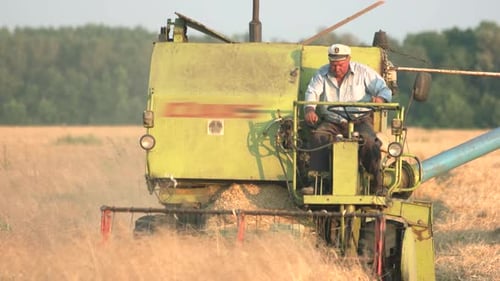 Combine Harvesting a Ripe Grain Field