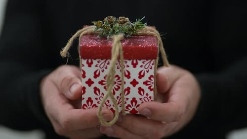Hands Presenting Festive Christmas Gift Box