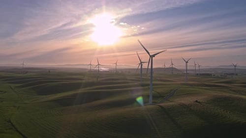 Wind Farm At The Sunset