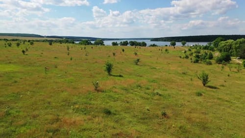 Natural landscape. Flying over field and river at summer sunny day.