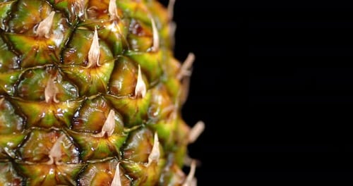 Ripe Pineapple in the Peel Slowly Rotates