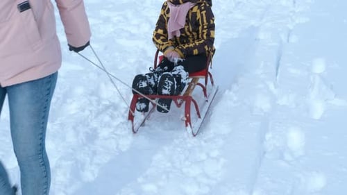 Happy Sledding Time