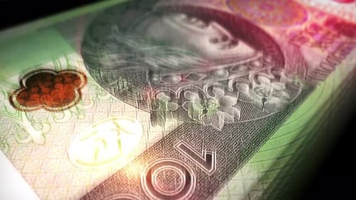 Polish Zloty money counting seamless loop