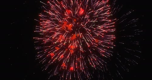 Firework 1