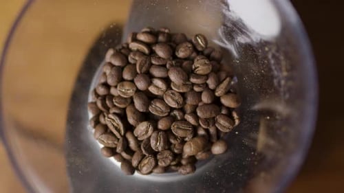 Coffee Beans Being Ground in a Grinder