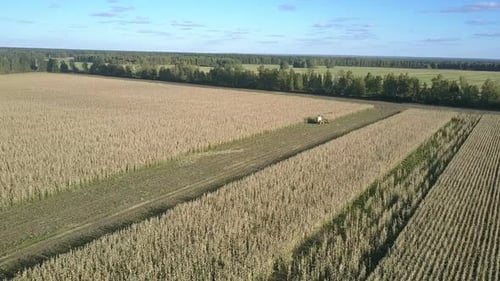 Grandes terres agricoles et ensileuse automotrice