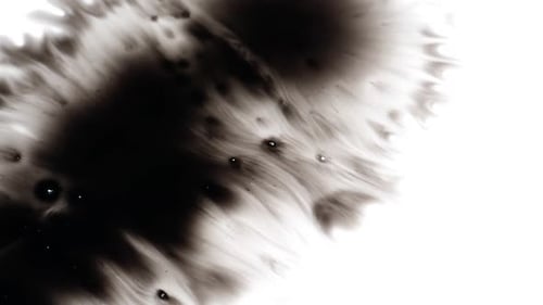 Black Ink Spreads on White Abstract Background
