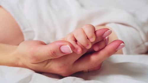Infant Hand Held by Loving Mother