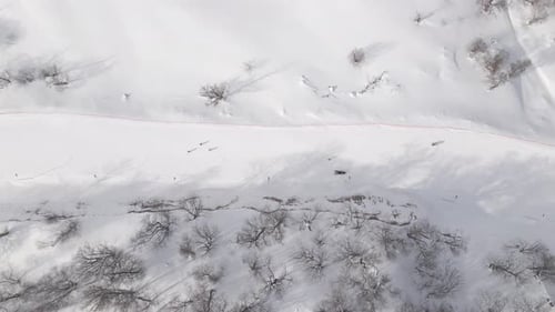 Aerial view of the ski resort with snowy mountain slopes and winter trees.