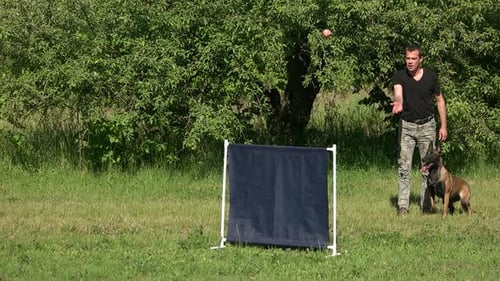 Agility Training Exercise.