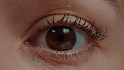 Close Up of Woman's Eye Blinking