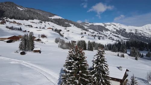 Fir trees and small cottages on snowy mountain slope in winter