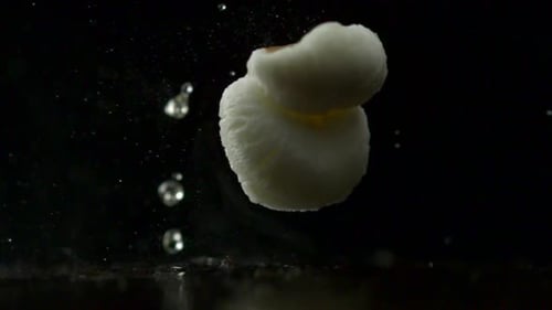 Popcorn Kernel Exploding in Slow Motion