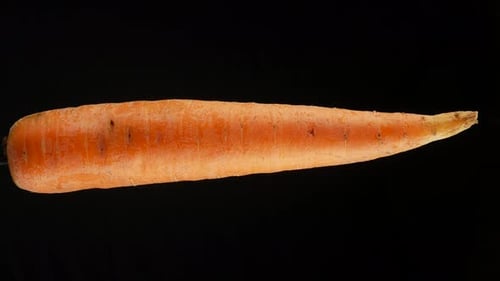 Carrot close up texture