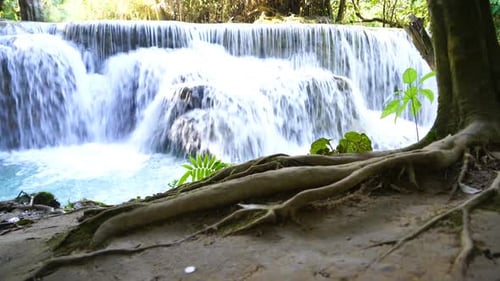 Tropical Waterfall Flowing in Lush Green Environment