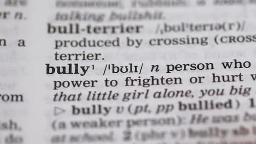 Bully, mot pointé dans le vocabulaire anglais, personne agressive humiliant les autres