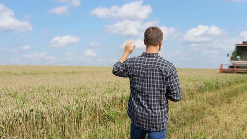 Farmer in Wheat Field with Combine Harvester Harvesting in Background