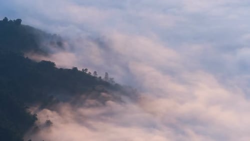 Fog Over Forest With Sunlight