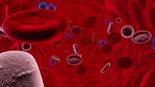 Animated Bloodstream Flow with Viruses and Cells