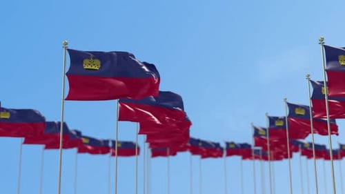 Multiple Realistic Waving Liechtenstein Flags Animation