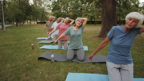Senior People Stretching in Park