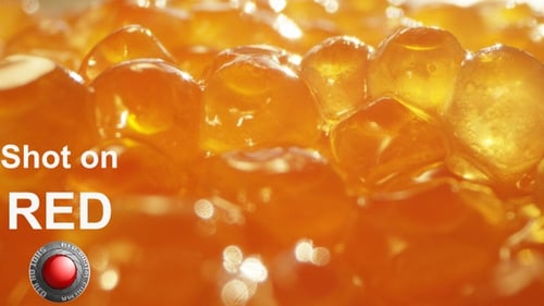 Golden Tapioca Pearls Delicious Food Close Up