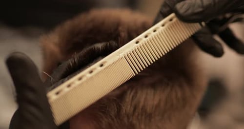 Haircut Close-up. Barbershop Life Style.
