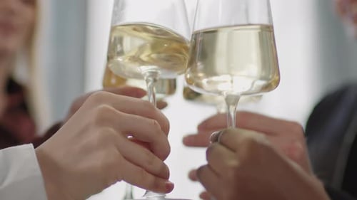 Friends Toasting Champagne Glasses Together, Celebration