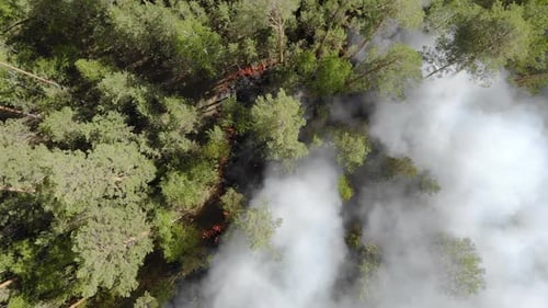 Luftaufnahme von der Spitze des brennenden Waldes.