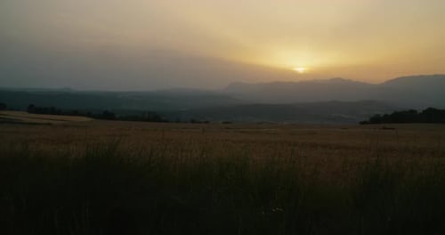 Calm Evening Landscape Overlooking the Agricultural Field on Sunset