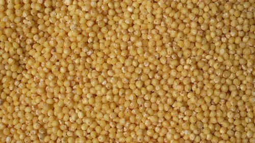 Millet Grains Close Up Background