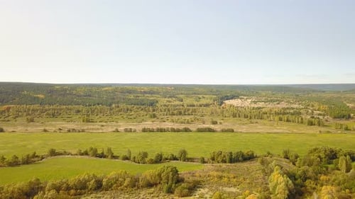 Green Forest Nature