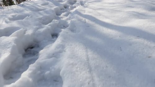 Following trails in the forest 4K 2160p 30fps UltraHD footage - Snow traces of boots POV 3840X2160 U