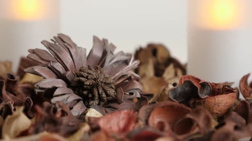 Relaxing background with dried flower petals and spices close-up 4K 2160p 30fps UltraHD footage -