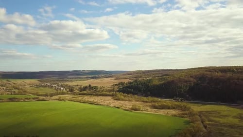 Aerial view of rural farm fields and green summer forest with many fresh trees