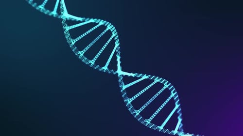 Dna