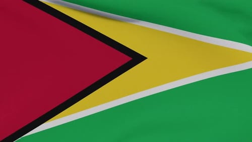 Flagge Guyana Patriotismus Nationale Freiheit Seamless Loop