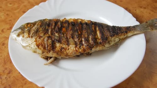 Grilled Fish on Plate