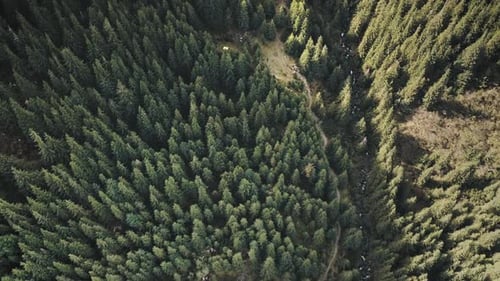 Aerial Green Mountain Top Down
