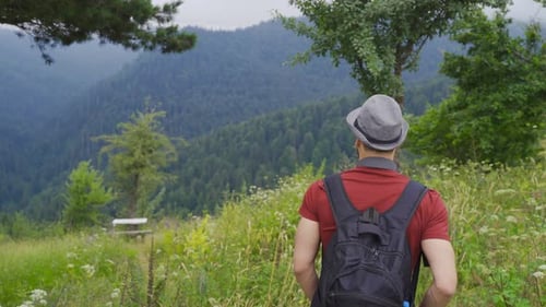 Walking in the forest.