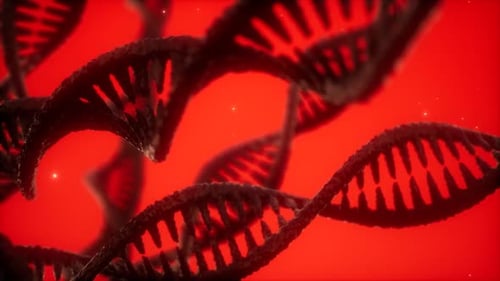 Structure of the DNA Double Helix Animation