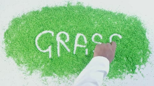 Green Writing Grass