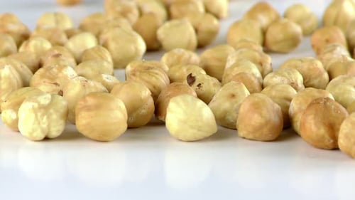 Hazelnut Macro View