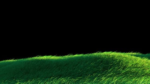 Blowing Grass Loop