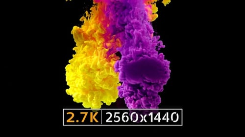 Billowing Colorful Ink Plumes Dissolving on Black