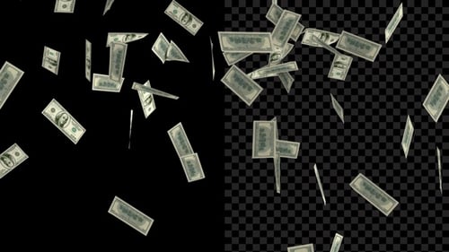 Flying Dollars V4