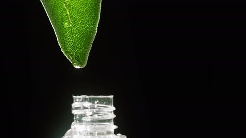Goteando jugo de hoja en botella de aceite de planta de primer plano