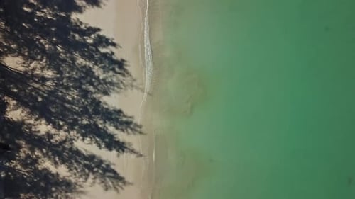 Deserted Beach with Shadows