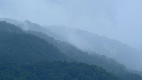 Fog Shrouded Green Mountains in Lush Landscape